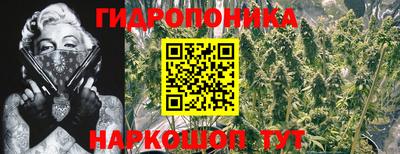 мяу мяу мука Мариинск